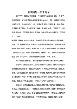 生活随想--关于耗子