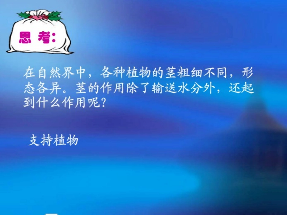 探究茎的其他作用_第2页