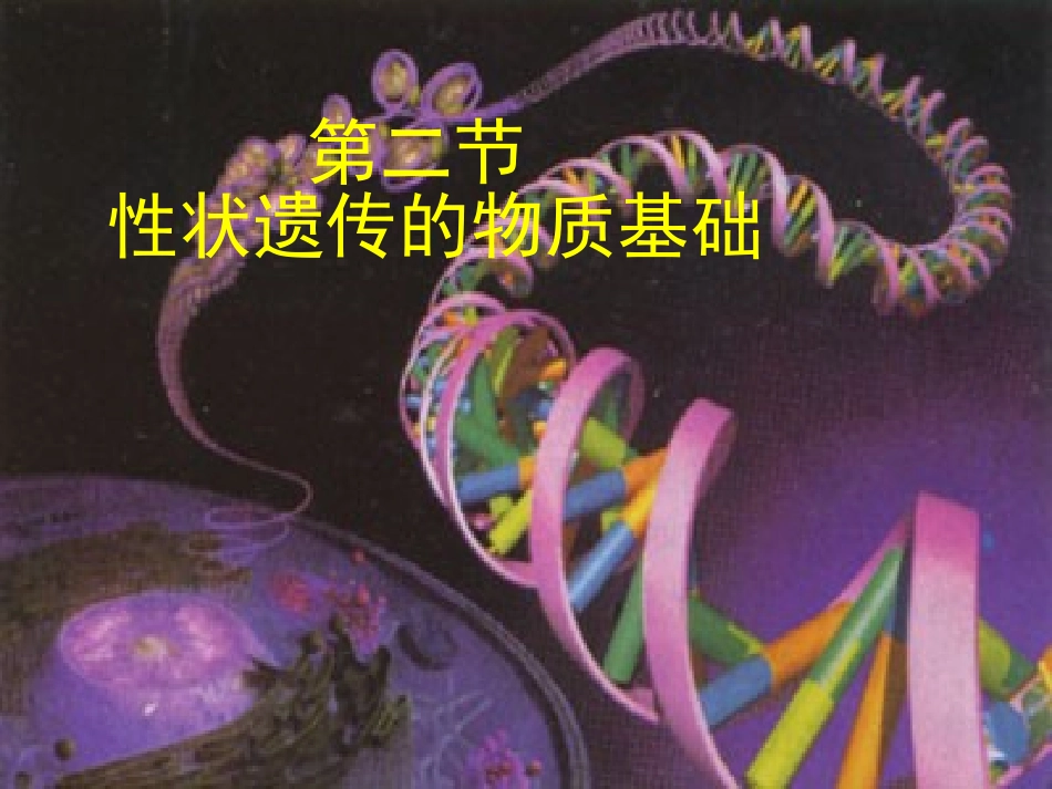 第2节性状遗传的物质基础_第1页