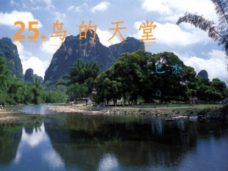 《鸟的天堂》ppt