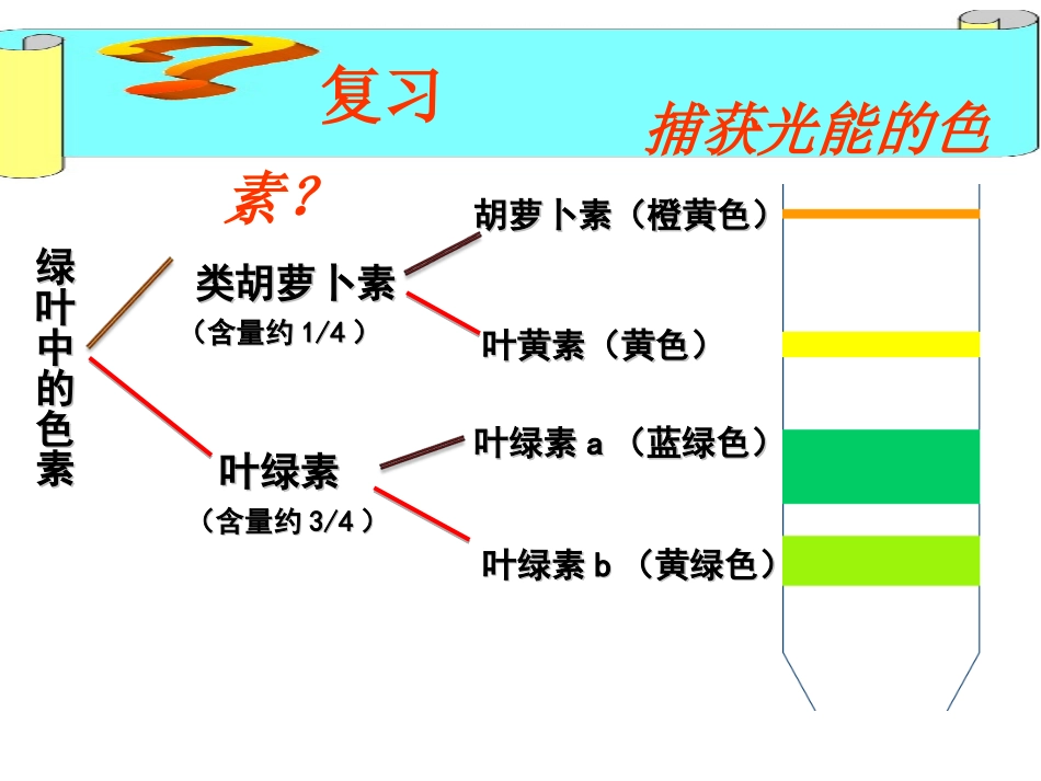 一细胞学说的建立_第2页