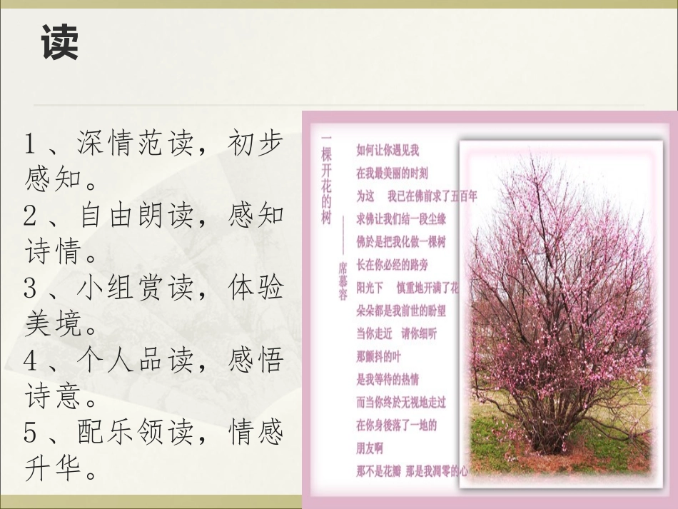 21-一棵开花的树_第3页