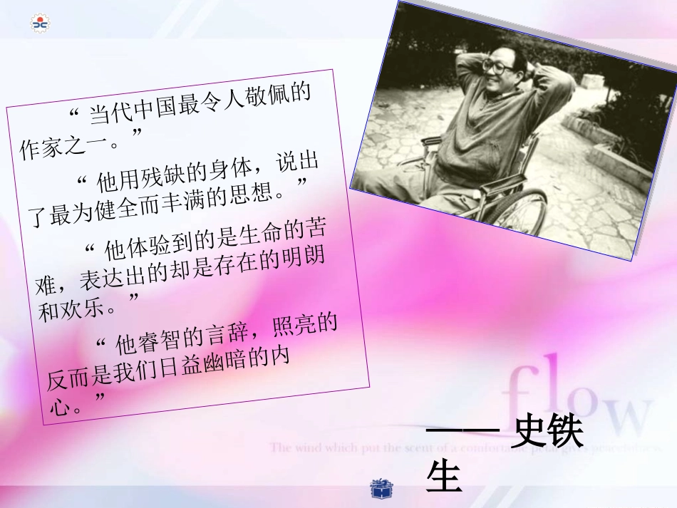 贺玫-合欢树_第2页