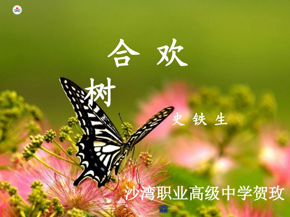 贺玫-合欢树_第3页