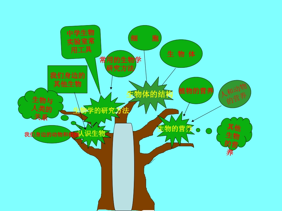 科学·技术·社会-无土栽培_第3页