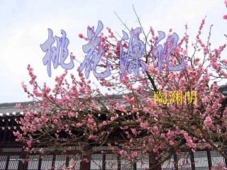 21桃花源记