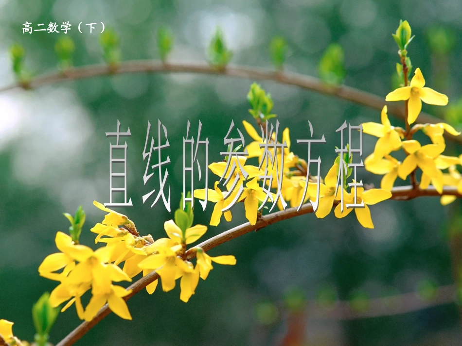 直线和圆锥曲线的参数方程_第1页