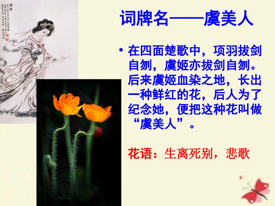 虞美人-(3)_第3页
