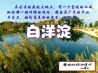 《芦花荡》参考课件