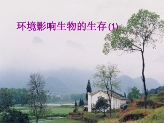 1.1.2环境影响生物的生存(1)