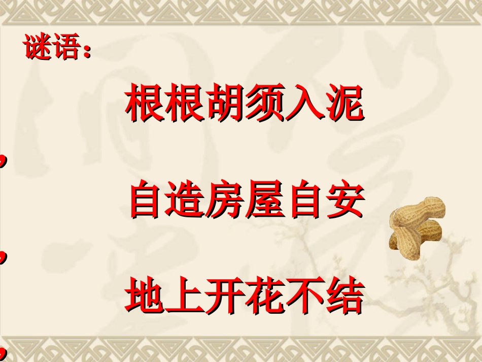 15.落花生(第一课时)_第1页