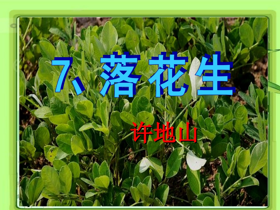 15.落花生(第一课时)_第3页
