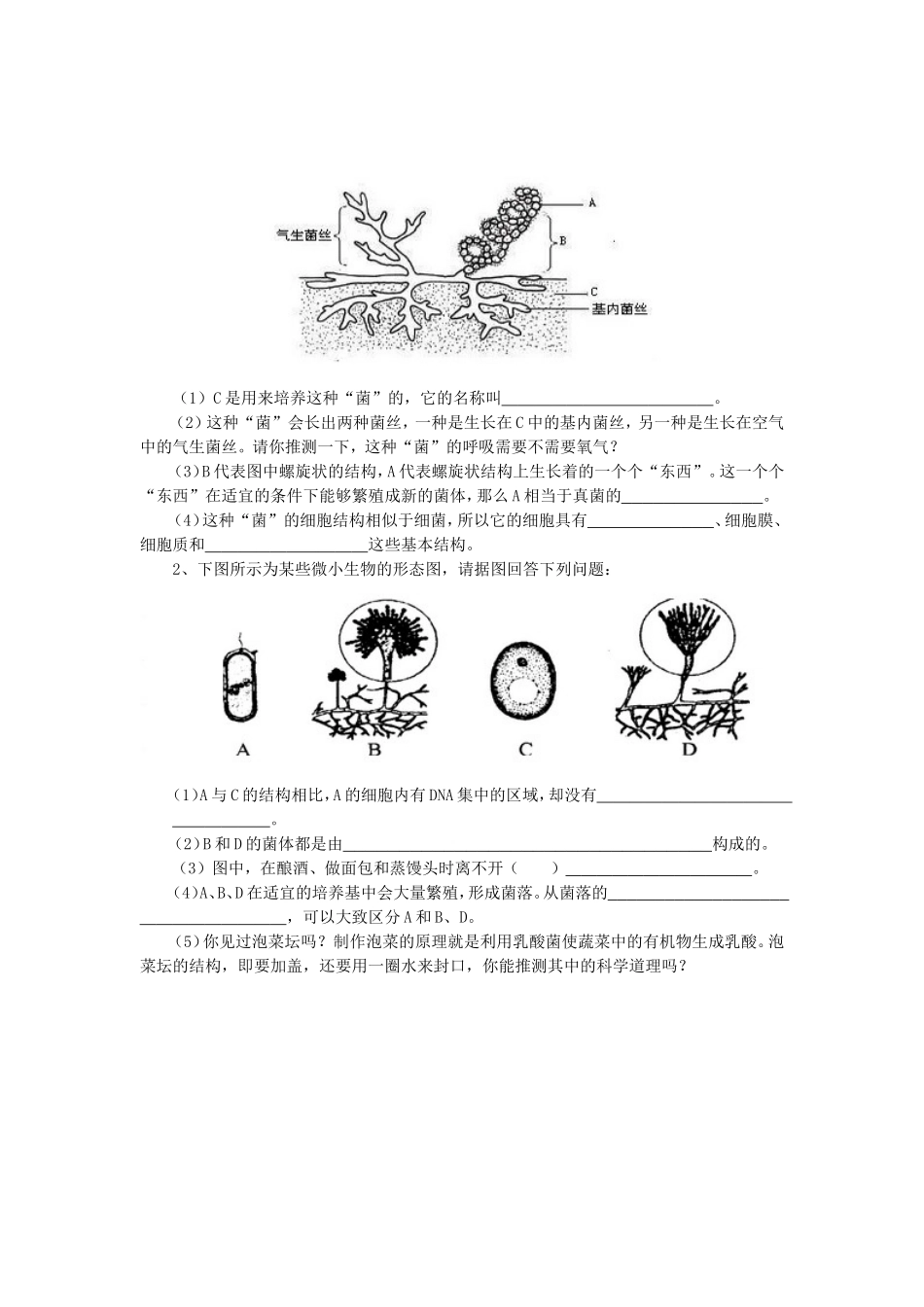 《第六节-细菌和真菌的繁殖》-习题1_第2页