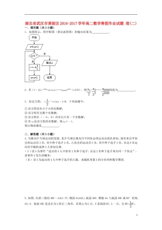 湖北省武汉市黄陂区高二数学寒假作业试题 理(二)-人教版高二全册数学试题