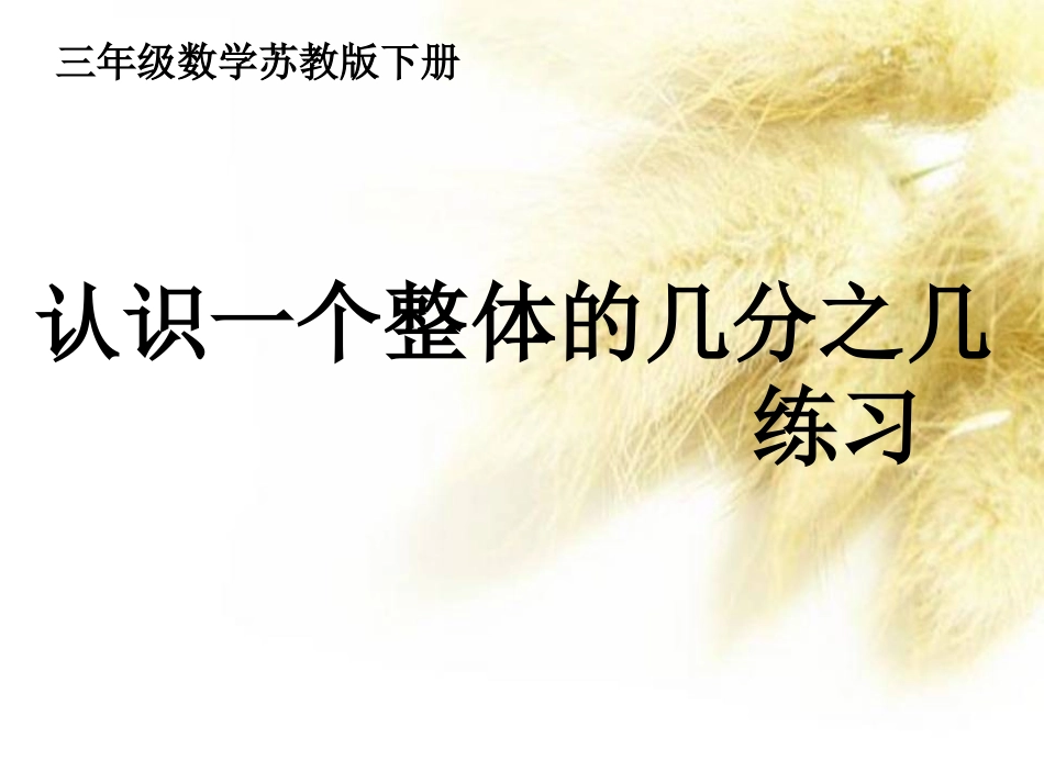 第七单元--第4课时_第2页