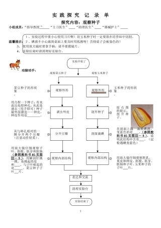 实践探究记录单4