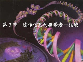 《遗传信息的携带者——-核酸》演示文稿1
