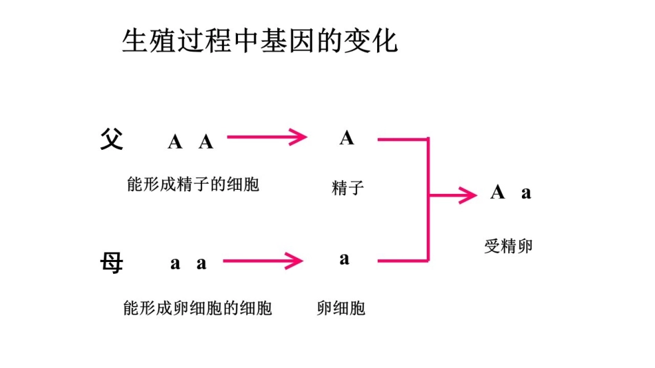 第三节基因的显性和隐性-(2)_第3页