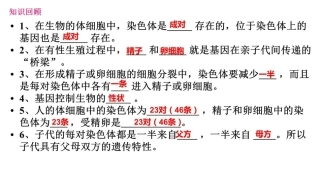第三节基因的显性和隐性-(2)