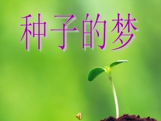种子的梦-(8)