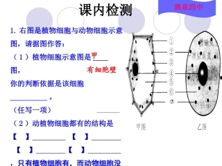 第三节细胞分裂与分化