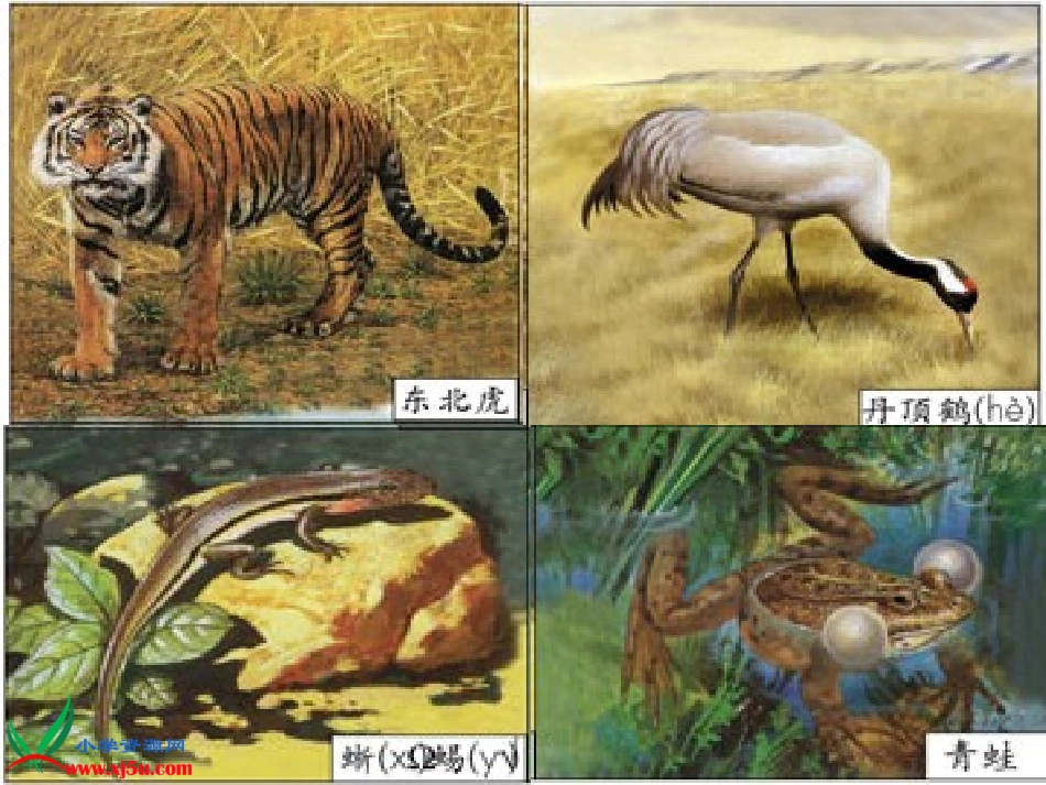 人教2011版小学数学三年级三位数加法-(2)_第3页