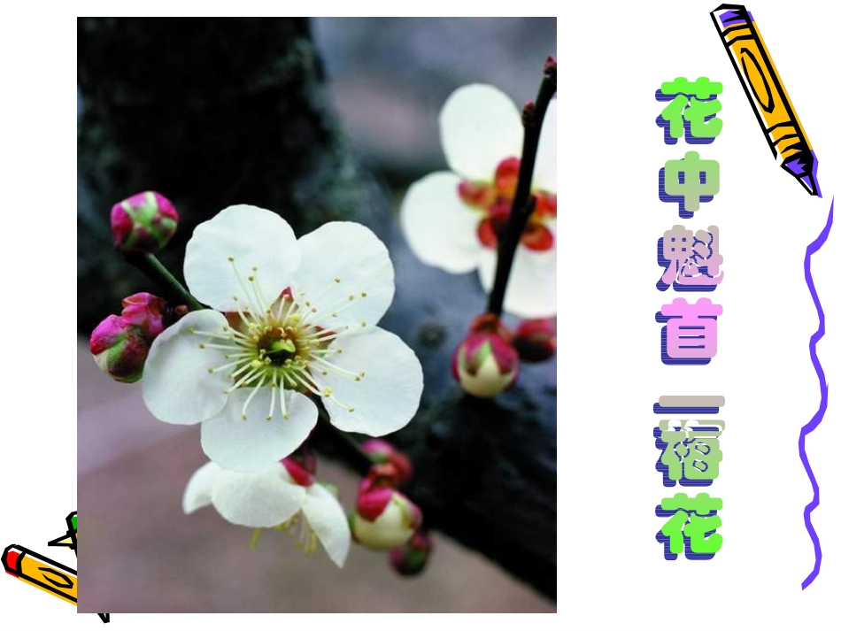 《植物的开花和结果》ppt课件_第2页