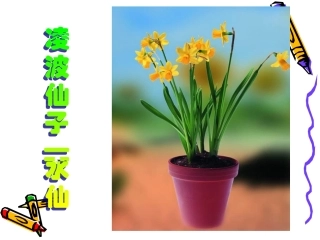 《植物的开花和结果》ppt课件