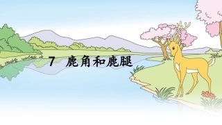 7鹿角和鹿腿