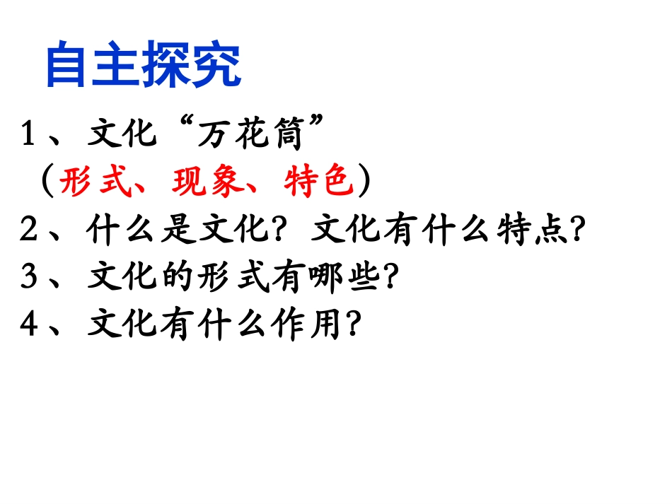 1.1体味文化_第3页