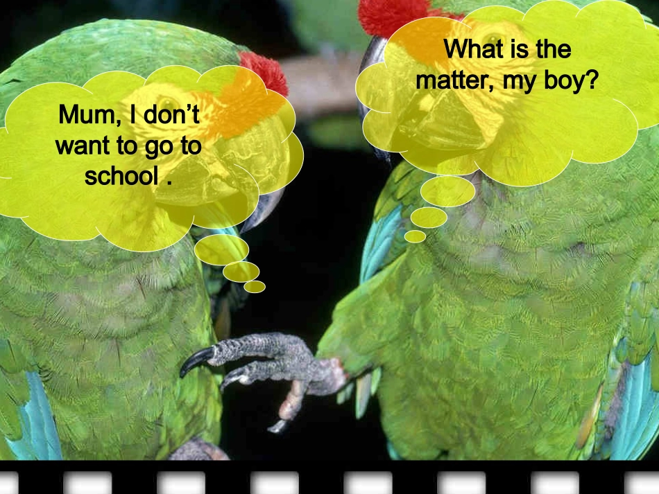 ReadingWhatSortofLanguageLearnerAreYou-(2)_第1页