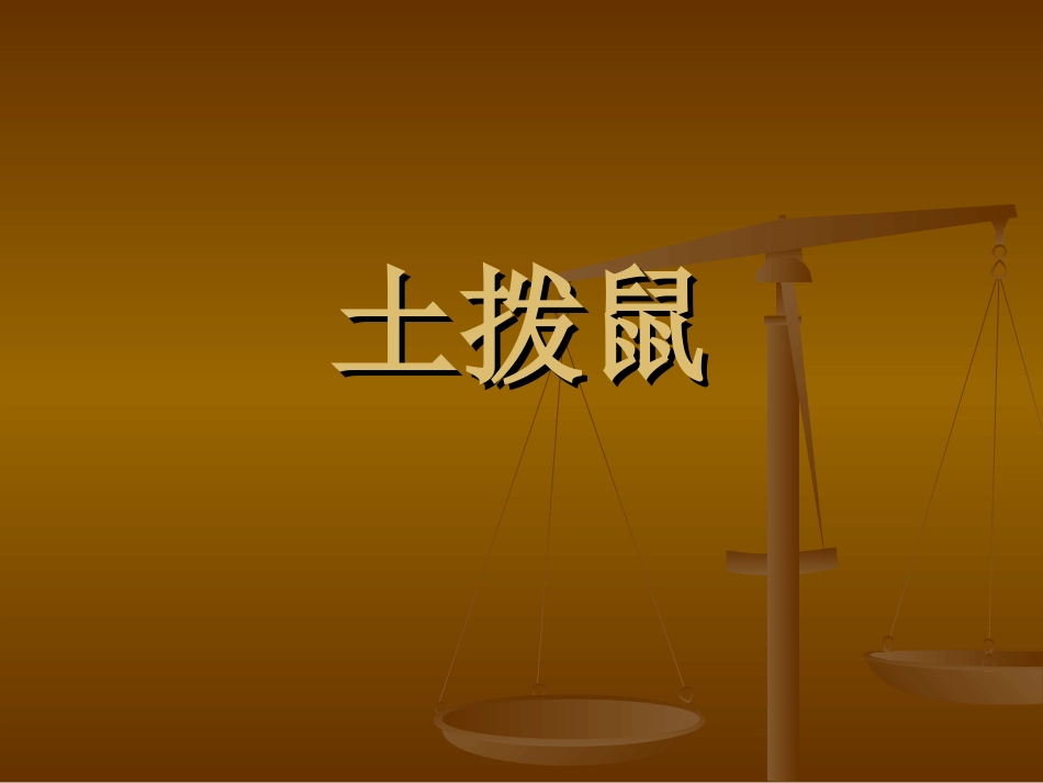 《土拨鼠》课件_第1页