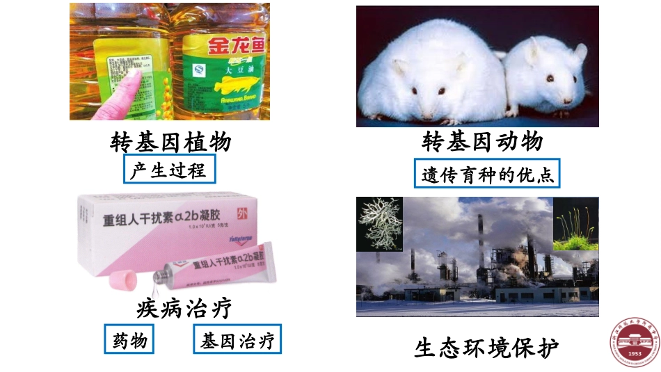 第三节基因工程的应用-(2)_第3页