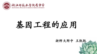 第三节基因工程的应用-(2)