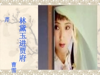 《林黛玉进贾府》