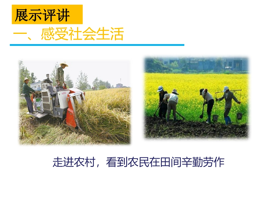 我与社会-(2)_第3页