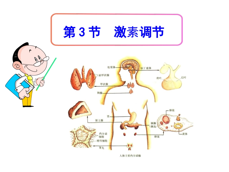 第1节人体产生的代谢废物-(2)_第2页