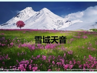 正月十五那一天