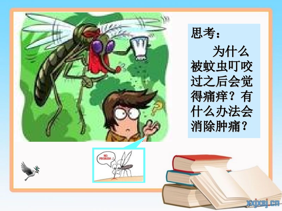 酸和碱之间会发生什么反应(化学课件)_第2页