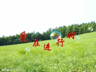 留守儿童的家庭教育