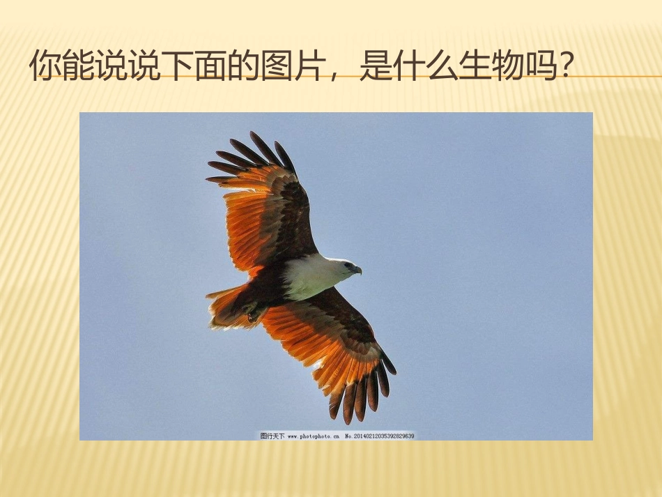 致同学们-(3)_第3页