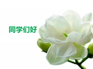 茉莉花(江苏民歌)