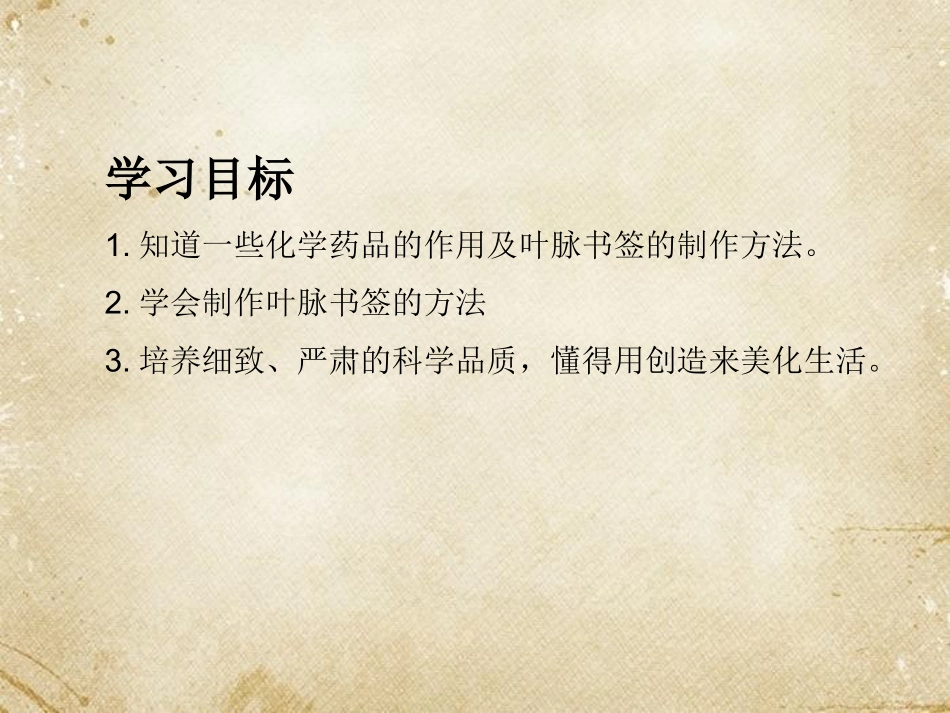 生物学艺术-动物与造型艺术_第2页