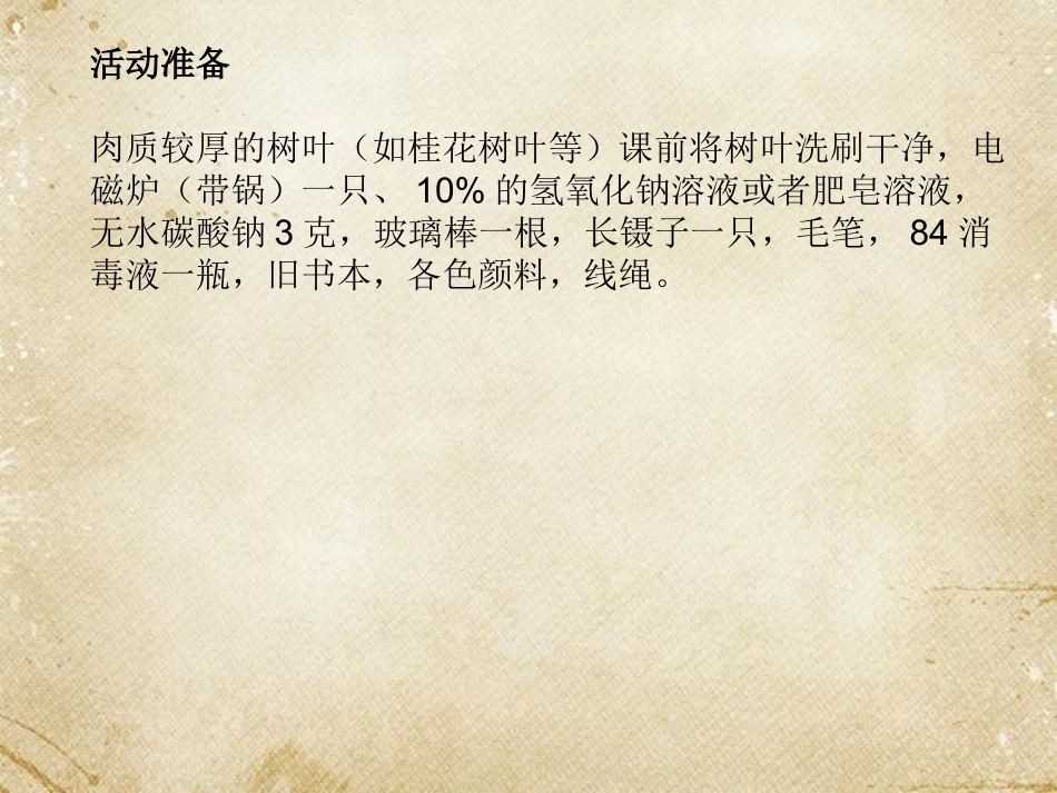 生物学艺术-动物与造型艺术_第3页