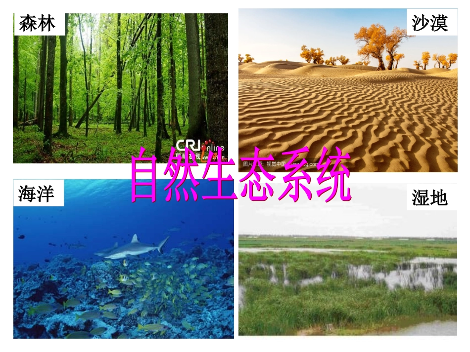 第三节生态系统_第3页