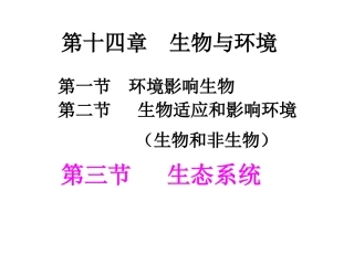 第三节生态系统