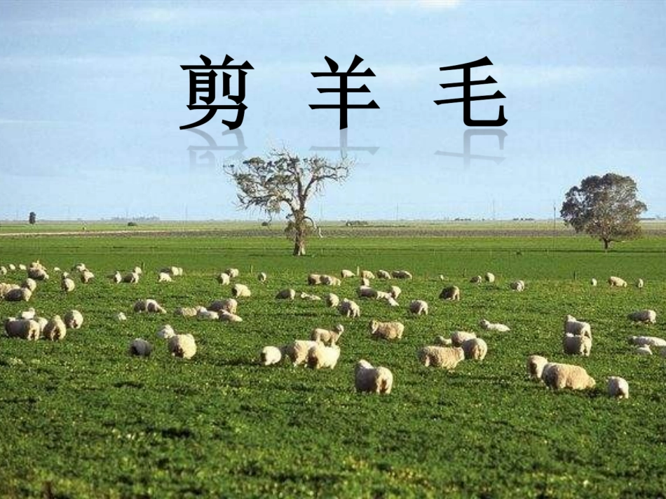 剪羊毛-(3)_第1页