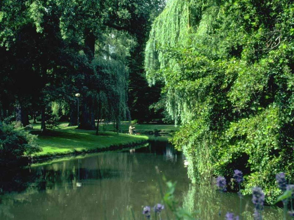 特别的作业课件_第3页