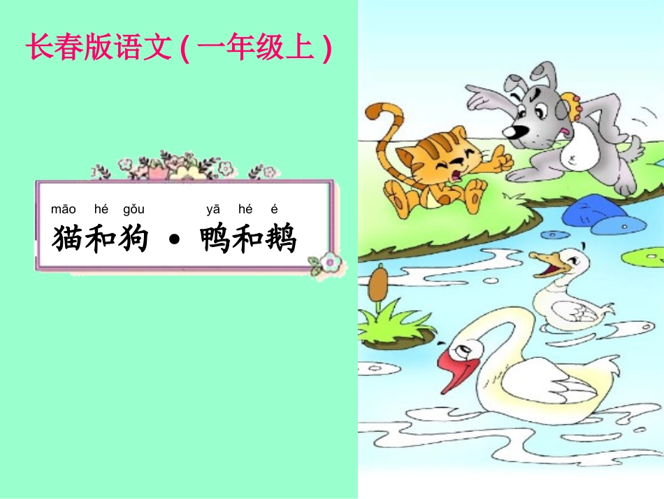 猫和狗鸭和鹅_第1页