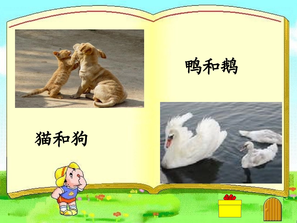 猫和狗鸭和鹅_第2页